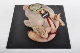 issu d'une souche cou nue