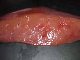 Peu de graisse et riche en protéine, vitamines et minéraux Les produits tripiers offrent un large éventail de nutriments.