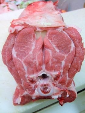 le collier se trouvant sur le cou de l'annimal