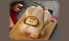 poule au sol èlevè en pleine air