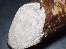 andouille de guéménnée est fabriquer a la mains